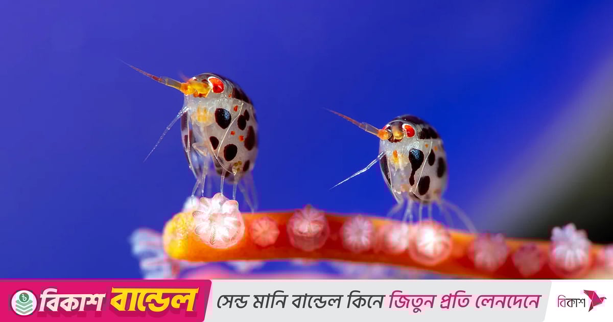 Paypoq kiygan yalangoch ayol. Yumshoq uchlik porno video