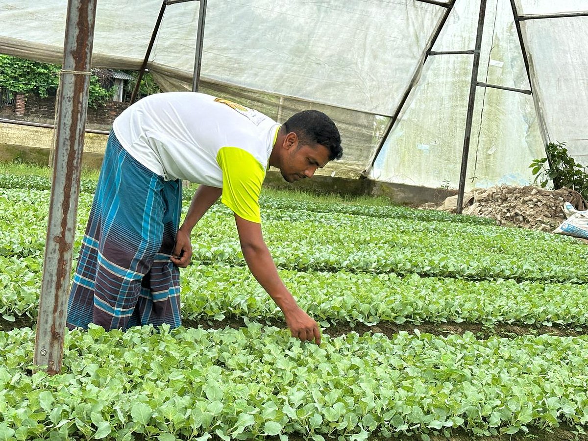 যশোরের বাঘারপাড়া উপজেলার মির্জাপুর গ্রামের মাঠে পলিনেট হাউসে সবজির চারার পরিচর্যা করছেন বিল্লাল হোসেন। সম্প্রতি তোলা