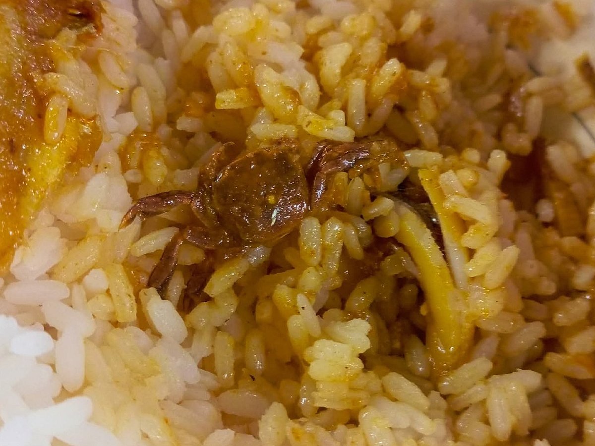 মাস্টারদা সূর্য সেন হলের ক্যাফেটোরিয়ায় ভাতের সঙ্গে তরকারি মাখানোর পর  আস্ত কাঁকড়া দেখেন শিক্ষার্থী মো. সাইদ মুন্সি