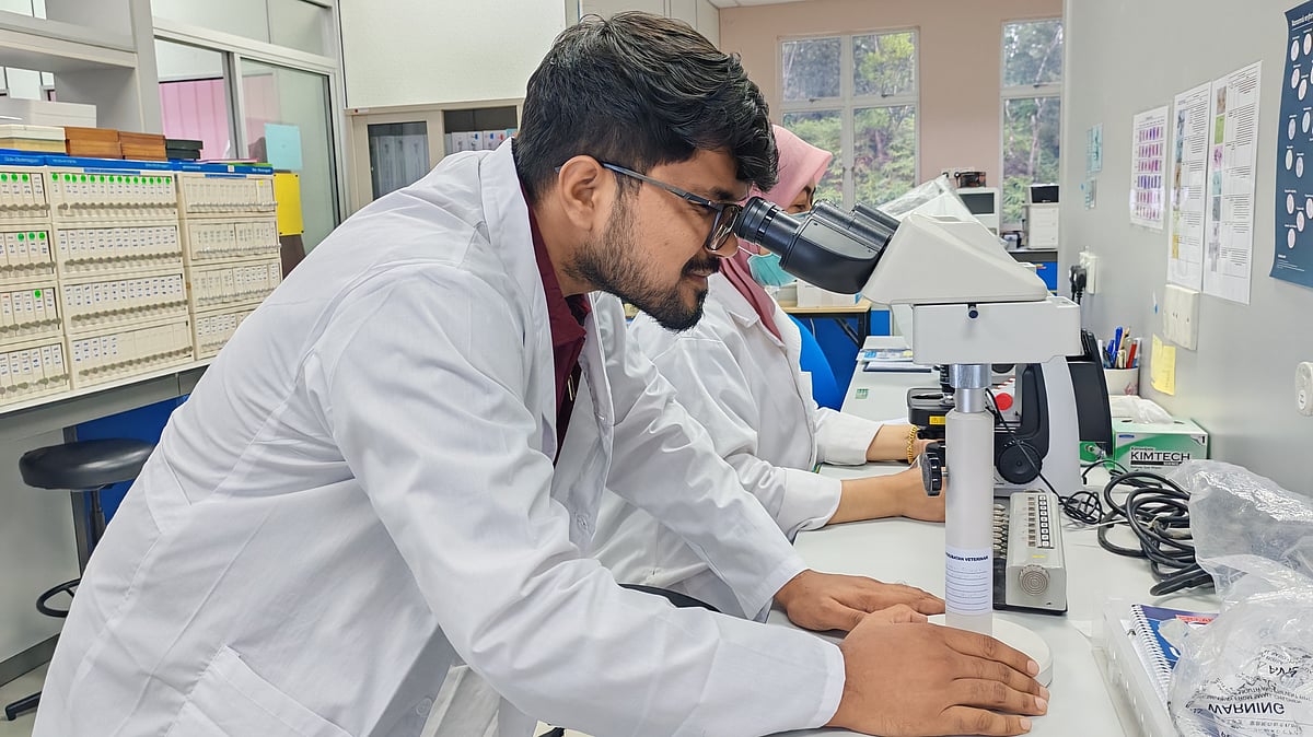 স্টুডেন্ট মোবিলিটি প্রোগ্রামের আওতায়  এ সুযোগ এসেছে