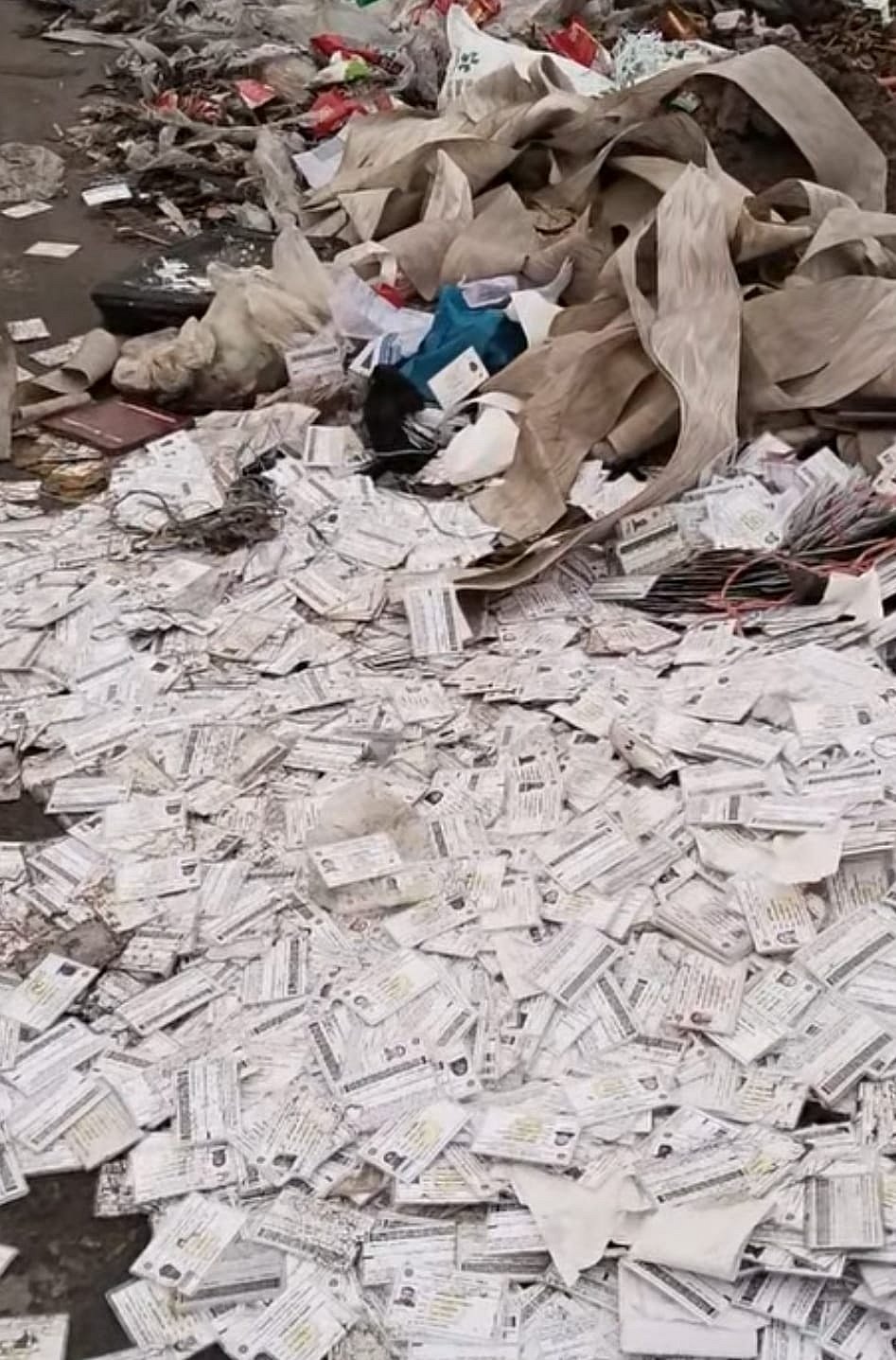 নারায়ণগঞ্জের ফতুল্লা স্টেডিয়াম এলাকায় পাঁচ বস্তাভর্তি এনআইডি কার্ড, পোলিং কর্মকর্তার পরিচয়পত্র ও নির্বাচনী সিল উদ্ধার করেছে পুলিশ। গতকাল রোববার সন্ধ্যায়