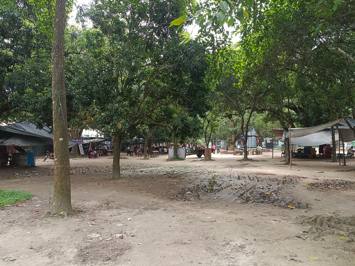 কর্মবিরতির কারণে রাজশাহী বিশ্ববিদ্যালয়ের ক্যাম্পাস ফাঁকা। শিক্ষার্থীদের আনাগোনা নেই বললেই চলে। আজ সোমবার বিশ্ববিদ্যালয়ের পরিবহন মার্কেট এলাকায়