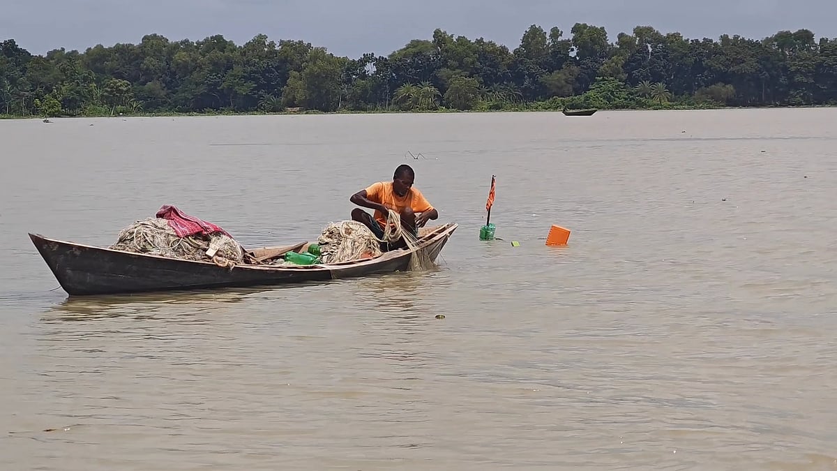 পিরোজপুরের নদীতে জাল ফেলছেন জেলেরা। তবে সেভাবে দেখা মিলছে না কাঙ্ক্ষিত ইলিশের। সম্প্রতি তোলা