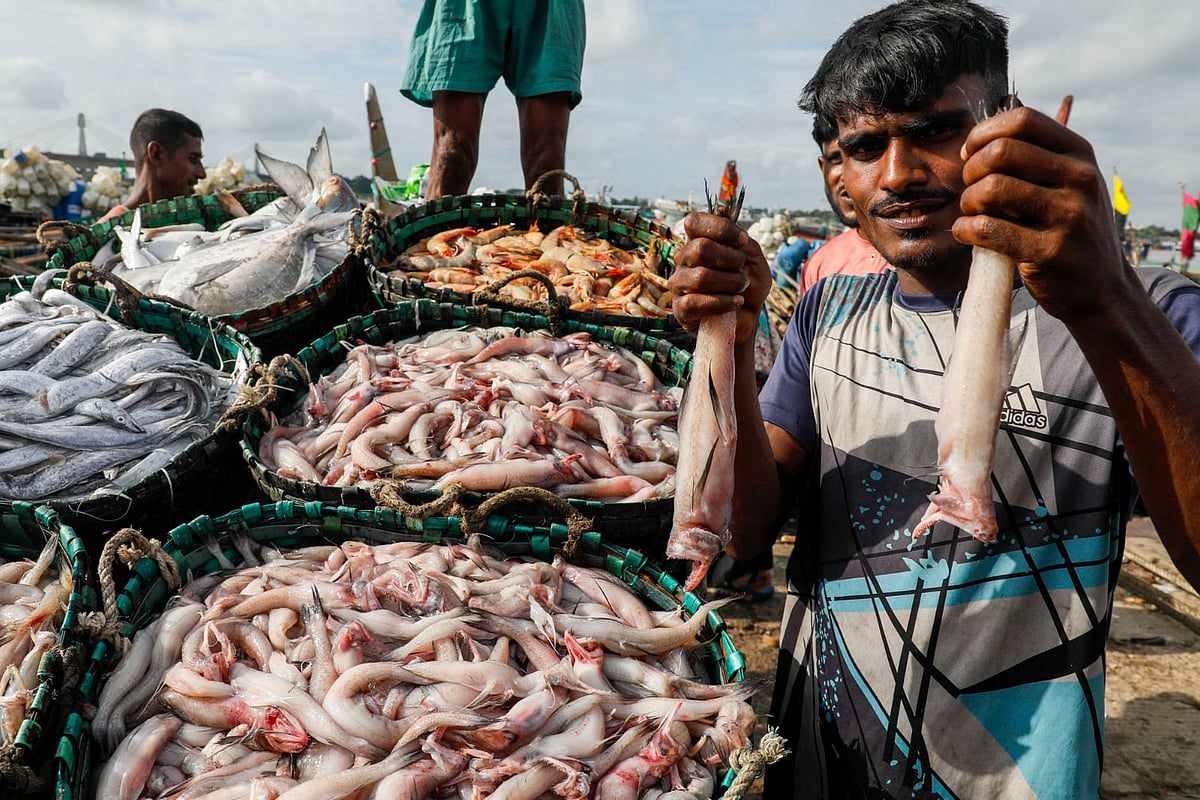 দুই হাতে লইট্টা মাছ ধরে ক্রেতা আকর্ষণের চেষ্টা করছেন এক বিক্রেতা। চট্টগ্রামের ফিরিঙ্গিবাজারে