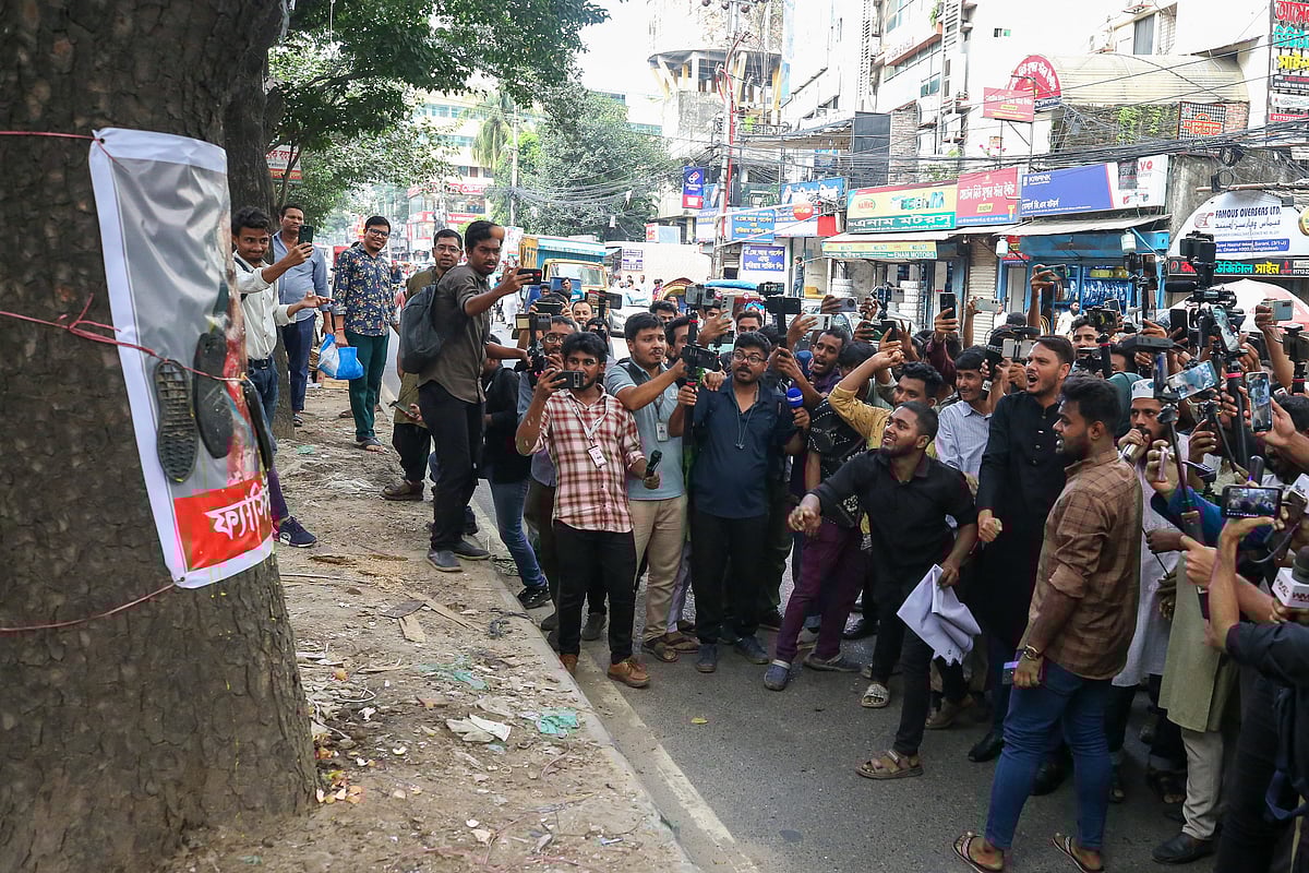 একটি গাছে শেখ হাসিনার ছবির ব্যানার টানিয়ে তাতে ডিম নিক্ষেপ করা হয়। বিজয়নগর, ঢাকা। ২৪ সেপ্টেম্বর