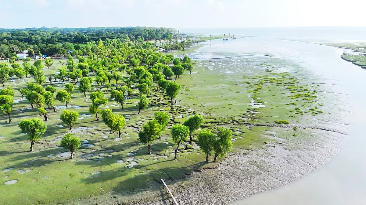 বরগুনার তালতলী উপজেলার বঙ্গোপসাগর তীরের নিদ্রার চর সৈকতের অপার্থিব সৌন্দর্য