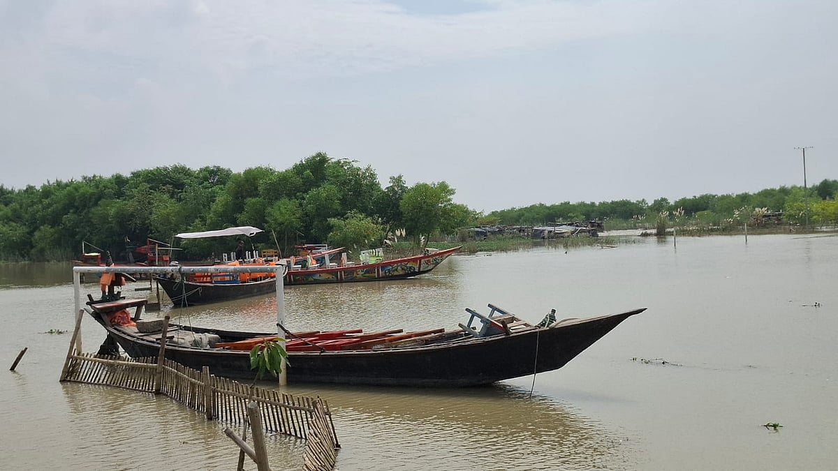রাজশাহীর পাঠানপাড়া এলাকায় মুক্তমঞ্চের নিচের দৃশ্য মনে করিয়ে দিচ্ছে সুন্দরবনের কথা। তাকালেই মনে হয়, ছোট্ট এক সুন্দরবন জেগে উঠেছে। শুক্রবার সকালে