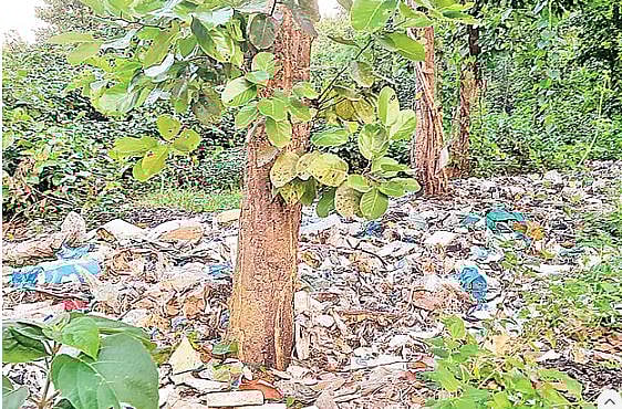 গাজীপুরের সংরক্ষিত বনে ফেলা রাখা বর্জ্য