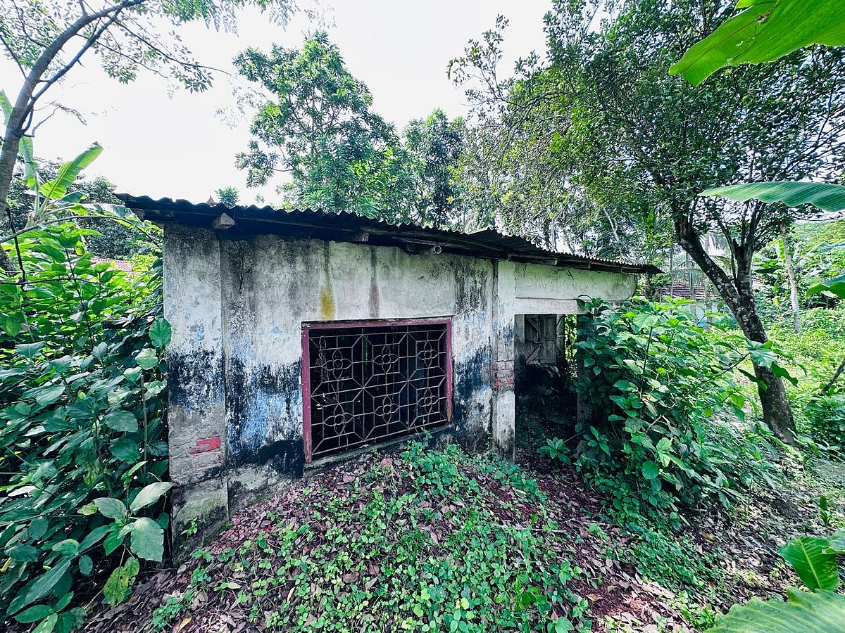 মনিরামপুর উপজেলার দিঘীরপাড় বাজারের শুরুতে রাজগঞ্জ-ঝিকরগাছা সড়কের পাশে পরিত্যক্ত ঘরটি সিডের কার্যালয়। সম্প্রতি তোলা