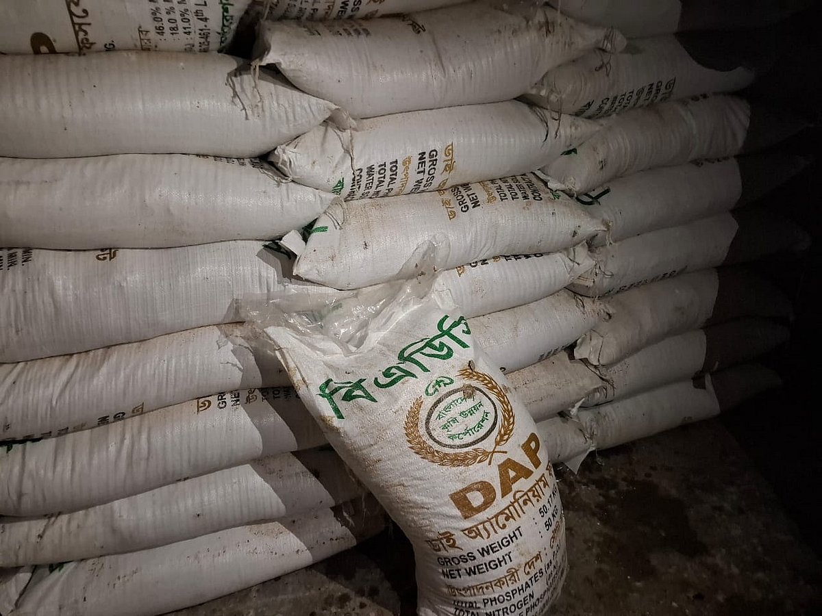 রাজশাহীর তানোর উপজেলার কলমা বাজারে এক পরিবেশকের (ডিলার) গুদামের ডিএপি সারের মজুত। ২৩ সেপ্টেম্বর রাত সোয়া ৯টায় তোলা