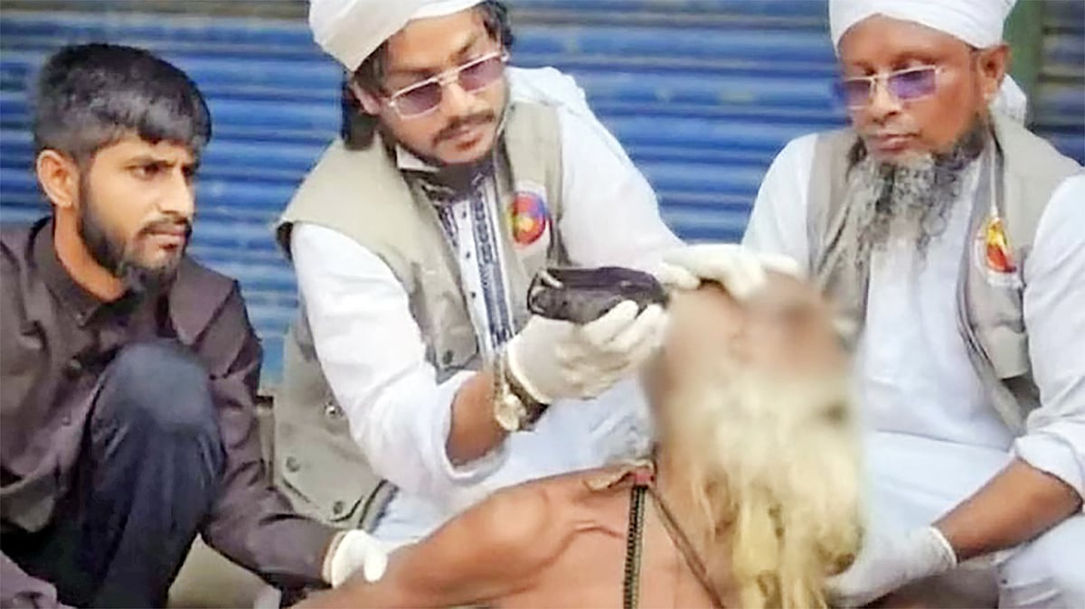 সম্প্রতি ময়মনসিংহের তারাকান্দায় জোর করে এক ব্যক্তির চুল কেটে দেওয়ার ভিডিও ভাইরাল হয়