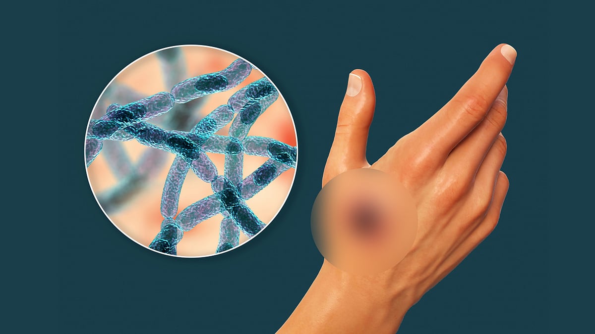 Porno sikni tezroq yutadi