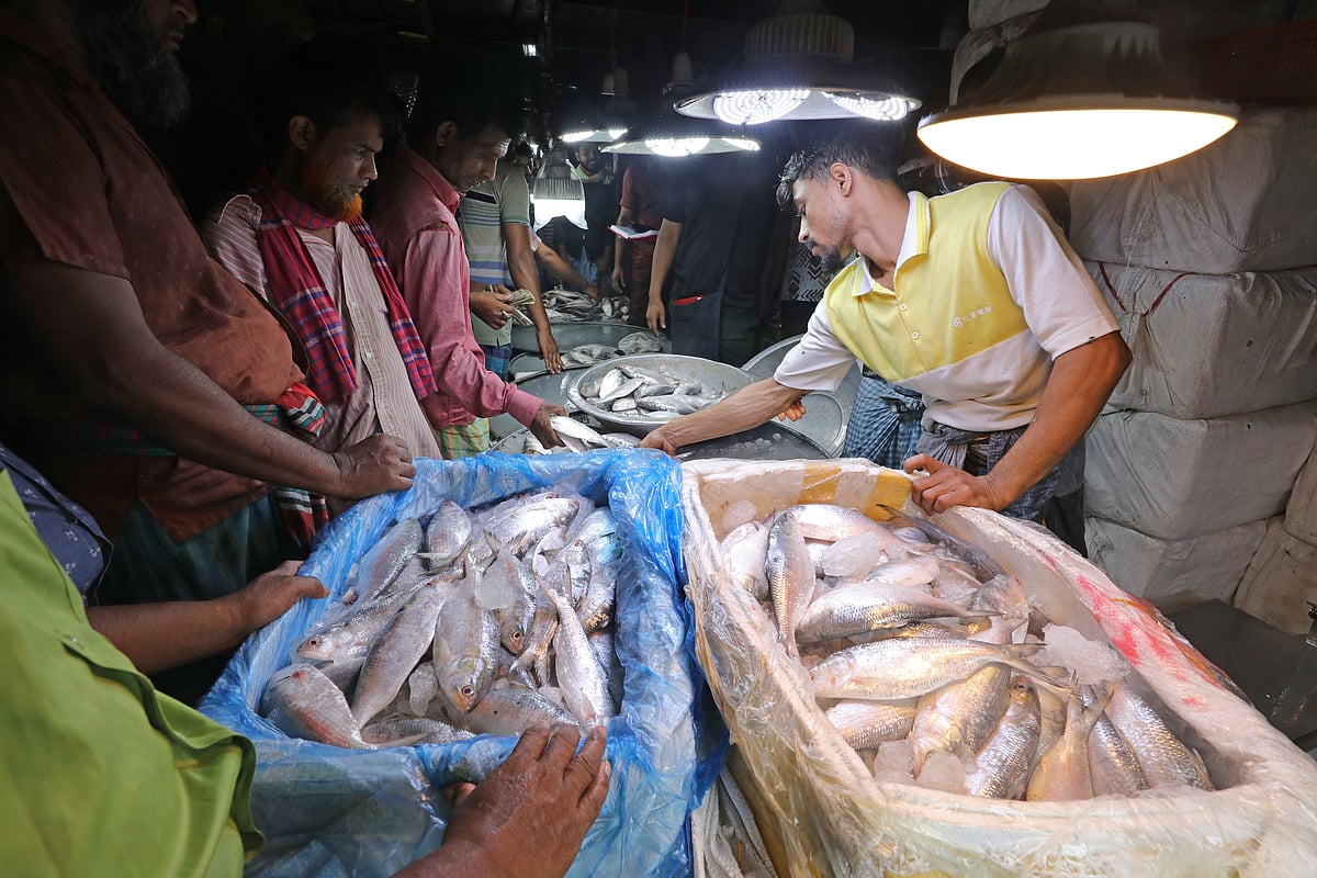 মা ইলিশ রক্ষার জন্য আগামীকাল ৪ অক্টোবর থেকে ইলিশ মাছ ধরা ও বেচাকেনা বন্ধ ঘোষণা করা হয়েছে। শেষ মুহূর্তে পাইকারি বাজারে কেনাবেচা চলছে। তবে দাম বেশি হওয়ায় বিক্রিও কম বলে জানান বিক্রেতারা। এক কেজি ওজনের ইলিশের দাম ২২০০ টাকার ওপরে। গতকাল সকাল সাড়ে সাতটায় ঢাকার কারওয়ান বাজার মাছের আড়তে