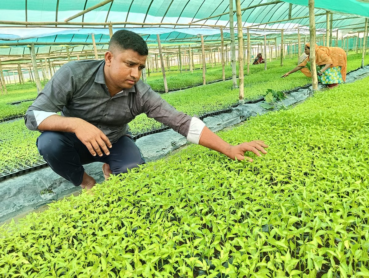 নিজের নার্সারিতে চারা পরিচর্যায় ব্যস্ত রংপুরের পীরগঞ্জ উপজেলার তাওহিদ মিয়া। সম্প্রতি উপজেলার মিলনপুর গ্রামে