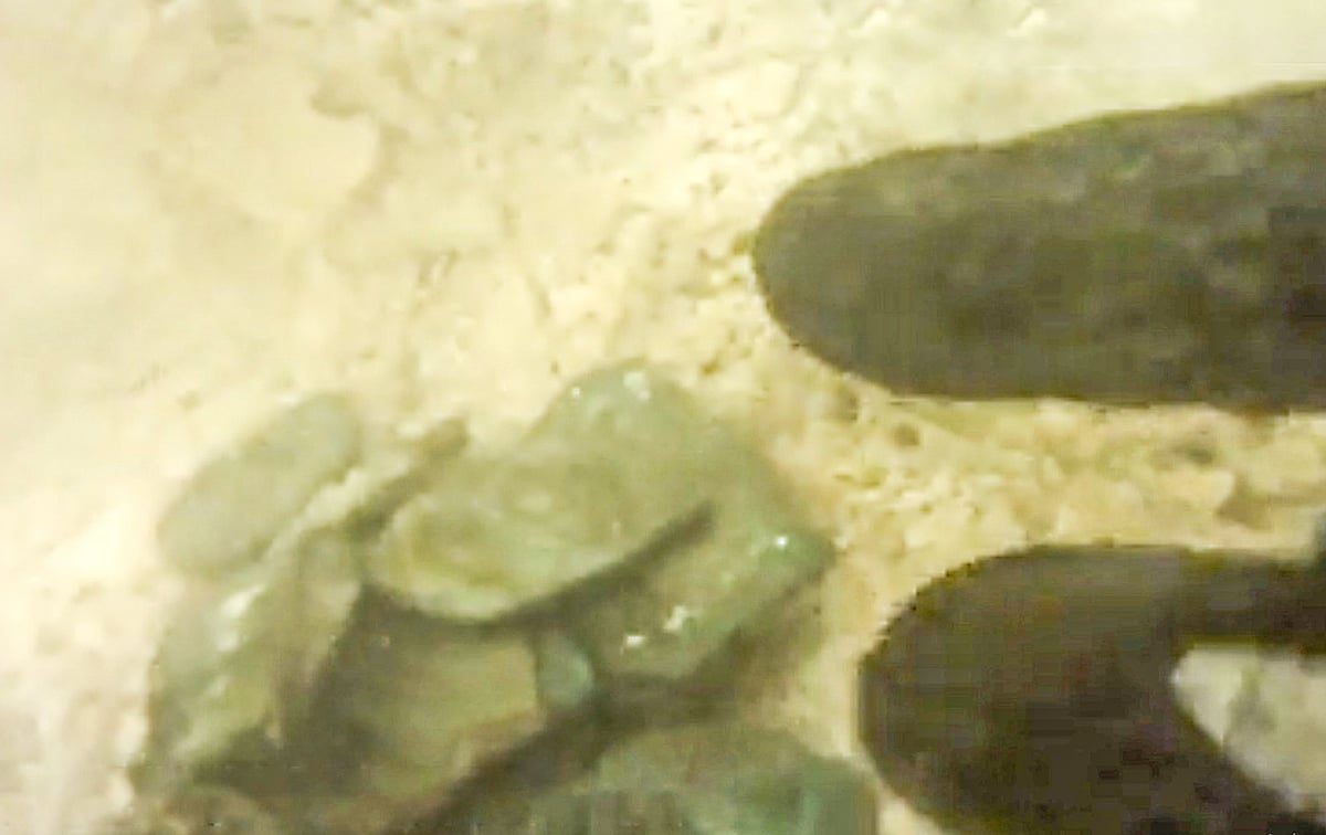 সমুদ্রের তলদেশে খুঁজে পাওয়া মুদ্রা কুড়াচ্ছেন এক ডুবুরি