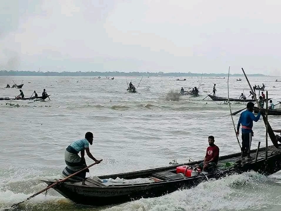 বরিশালের মেহেন্দীগঞ্জে মেঘনার শাখা কালা বদর নদীতে এভাবেই ইলিশ শিকারের মহোৎসব চলছে। মঙ্গলবার দুপুরে