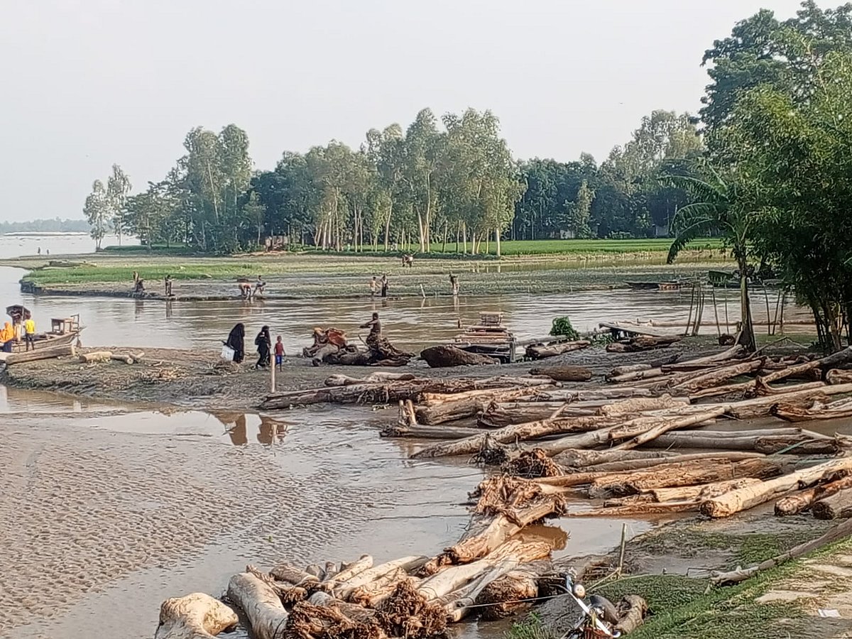 কুড়িগ্রামের কালজানী নদীতে ভেসে এসেছে হাজার হাজার গাছের গুঁড়ি। গতকাল মঙ্গলবার বিকেলে নাগেশ্বরীর দামালগ্রাম এলাকার দুধকুমারের পাড়ে