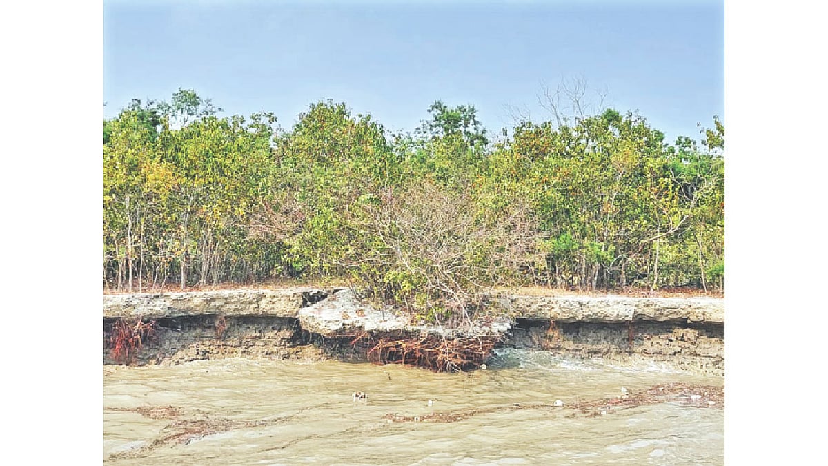 উড়িরচরের ভাঙনপ্রবণ দক্ষিণাংশ