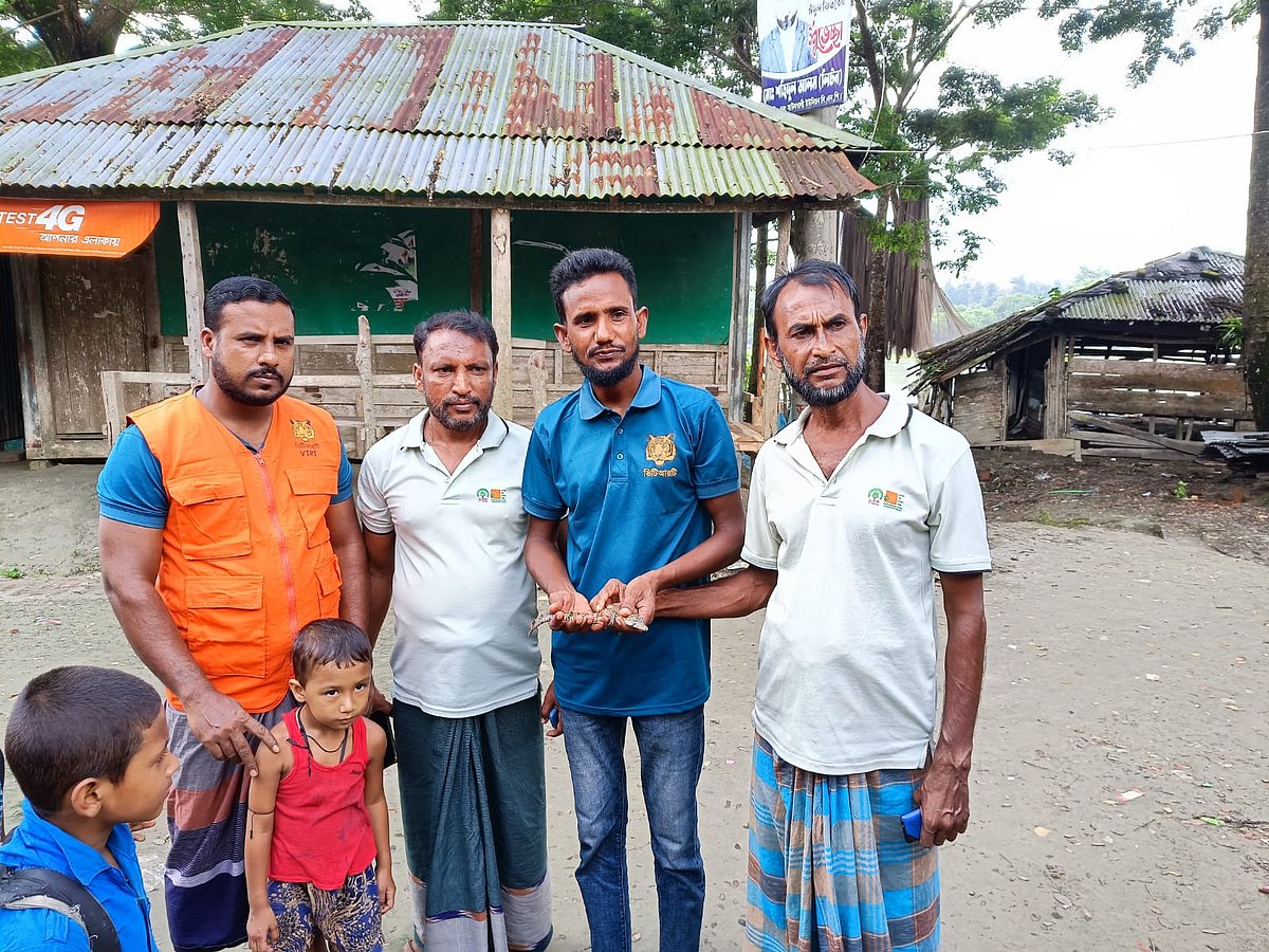 সুন্দরবন–সংলগ্ন চালিতাবুনিয়া গ্রামের তেরাব্যাকা খাল থেকে উদ্ধার করা কুমিরের ছানাটি বনে অবমুক্ত করা হয়েছে