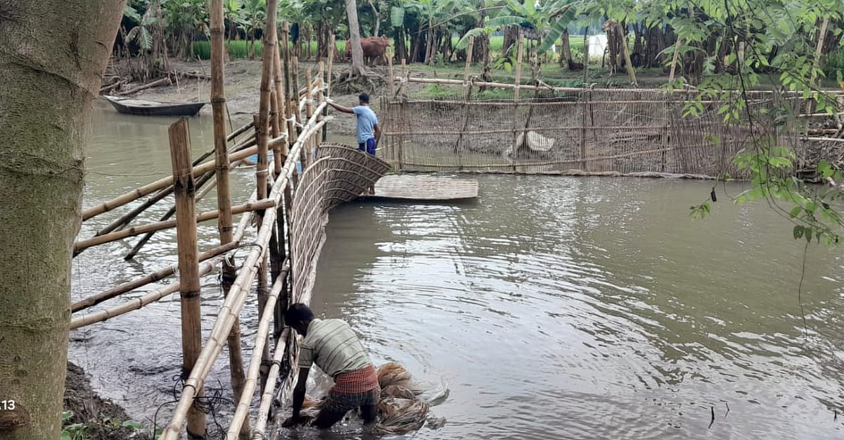 ফরিদপুরের আলফাডাঙ্গা উপজেলার বানা-পাঁচুড়িয়া খাল থেকে বাঁশের বাঁধ অপসারণ করা হয়। গতকাল বুধবার দুপুরে বানা ইউনিয়ন পরিষদ কার্যালয়–সংলগ্ন এলাকায়