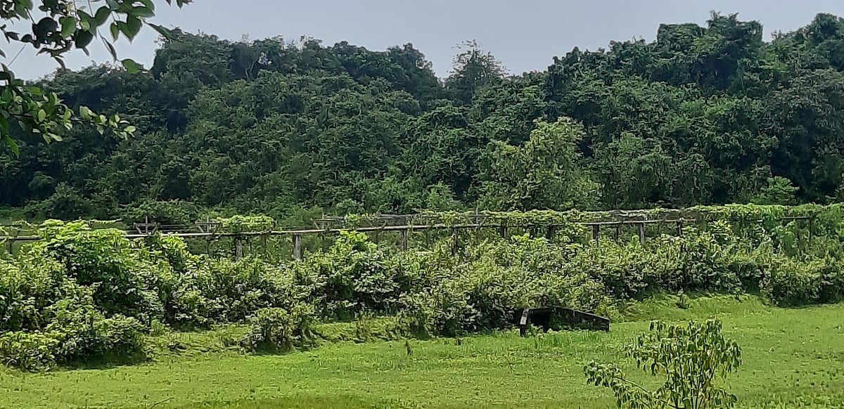 কাঁটাতারের ওপারে মিয়ানমারের রাখাইন রাজ্য। নাইক্ষ্যংছড়ির ঘুমধুম সীমান্ত থেকে তোলা