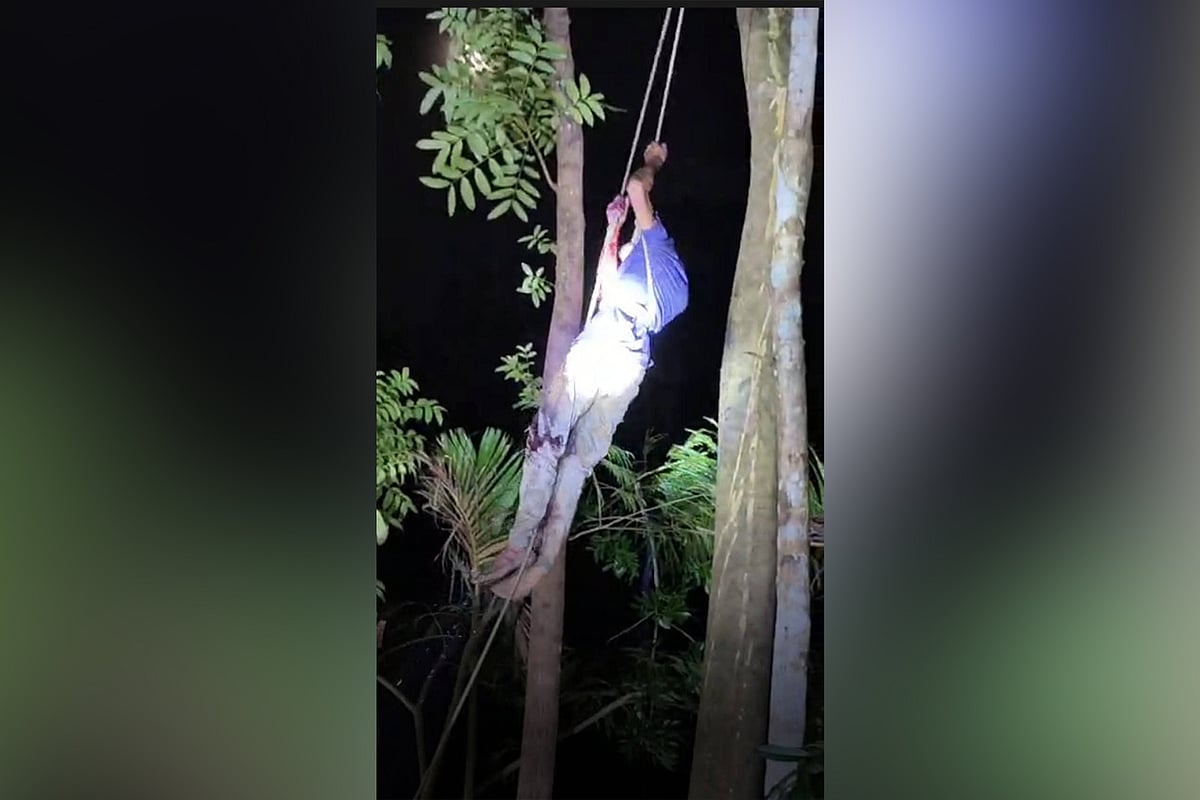 স্থানীয় ফায়ার সার্ভিস ও পুলিশ সদস্যরা অভিযুক্ত সবুজকে গাছ থেকে নিচে নামান। গতকাল রাতে পটুয়াখালীর দশমিনা উপজেলার চর হোসনাবাদ গ্রামে