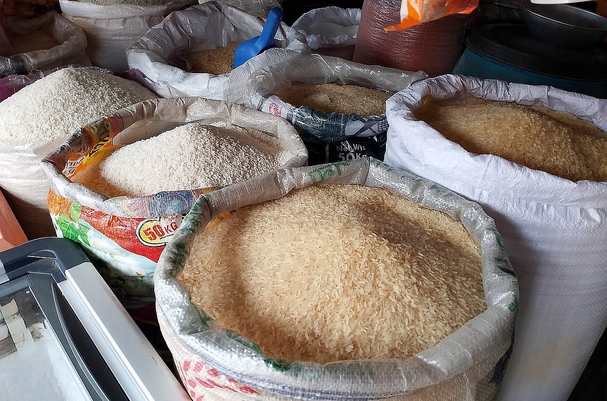 বিভিন্ন জাতের চাল