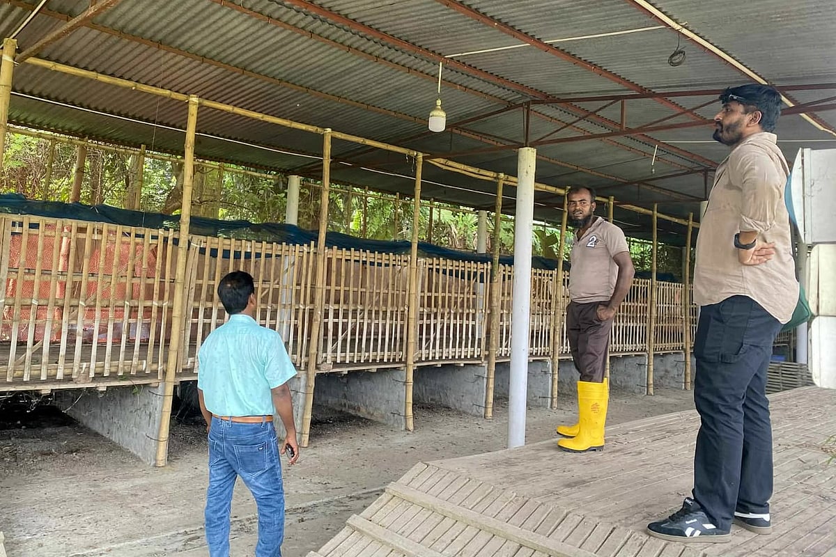 খুলনা বিশ্ববিদ্যালয়ে শুরু হচ্ছে কুকুর নিয়ন্ত্রণে বন্ধ্যত্বকরণ ও টিকাদান কার্যক্রম। কুকুরের অস্ত্রোপচারের জন্য প্রয়োজনীয় অবকাঠামো তৈরি করা হয়েছে। গতকাল বৃহস্পতিবার তোলা