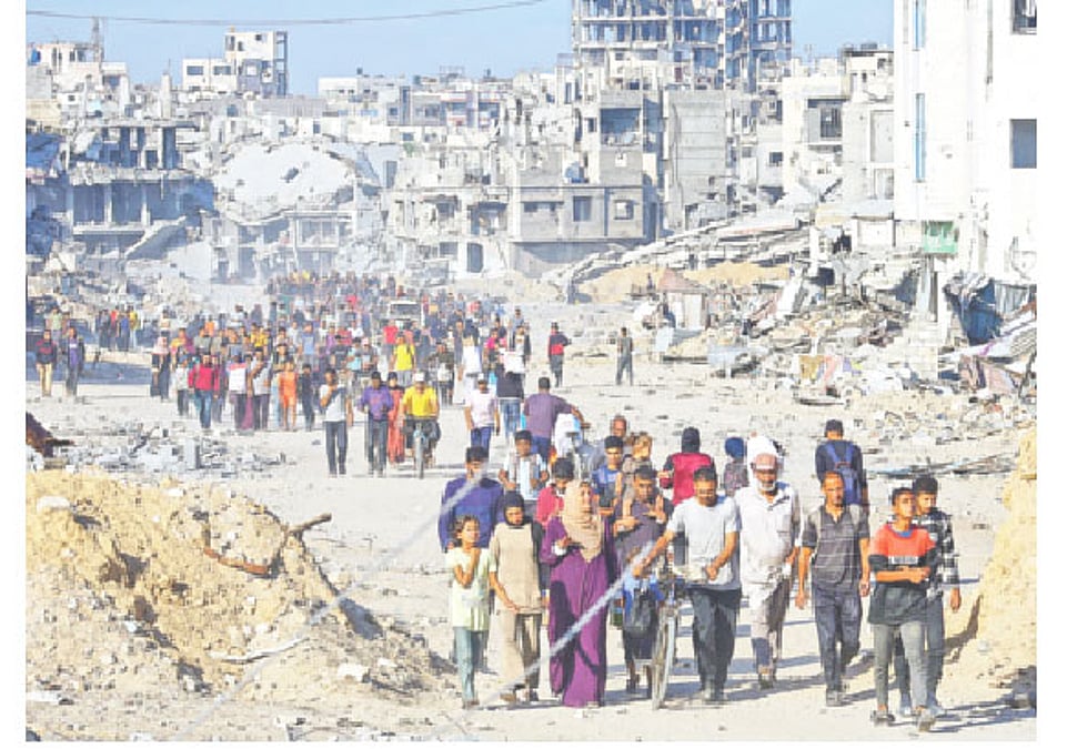 Porno yalash mushuk va sikish Porno aktrisa derazadan sakrab tushdi.