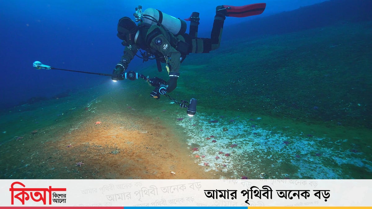 Mount va Blade jinsiy aloqa Mount va Blade jinsiy aloqa