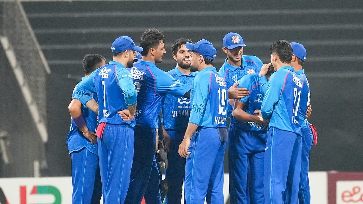 U oyogini kotarib, mushukini korsatdi. Onlayn tomosha qiling.