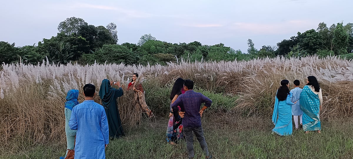 পাবনার বেড়ায় কাশবনের সৌন্দর্য দেখতে ভিড় করেন দর্শনার্থীরা। উপজেলার দক্ষিণ চরপেঁচাকোলা এলাকায়