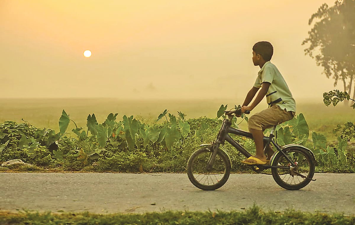কুয়াশামাখা সকালের আলোয় হেমন্তের রং। পাবনা সদরের গাছপাড়ায়