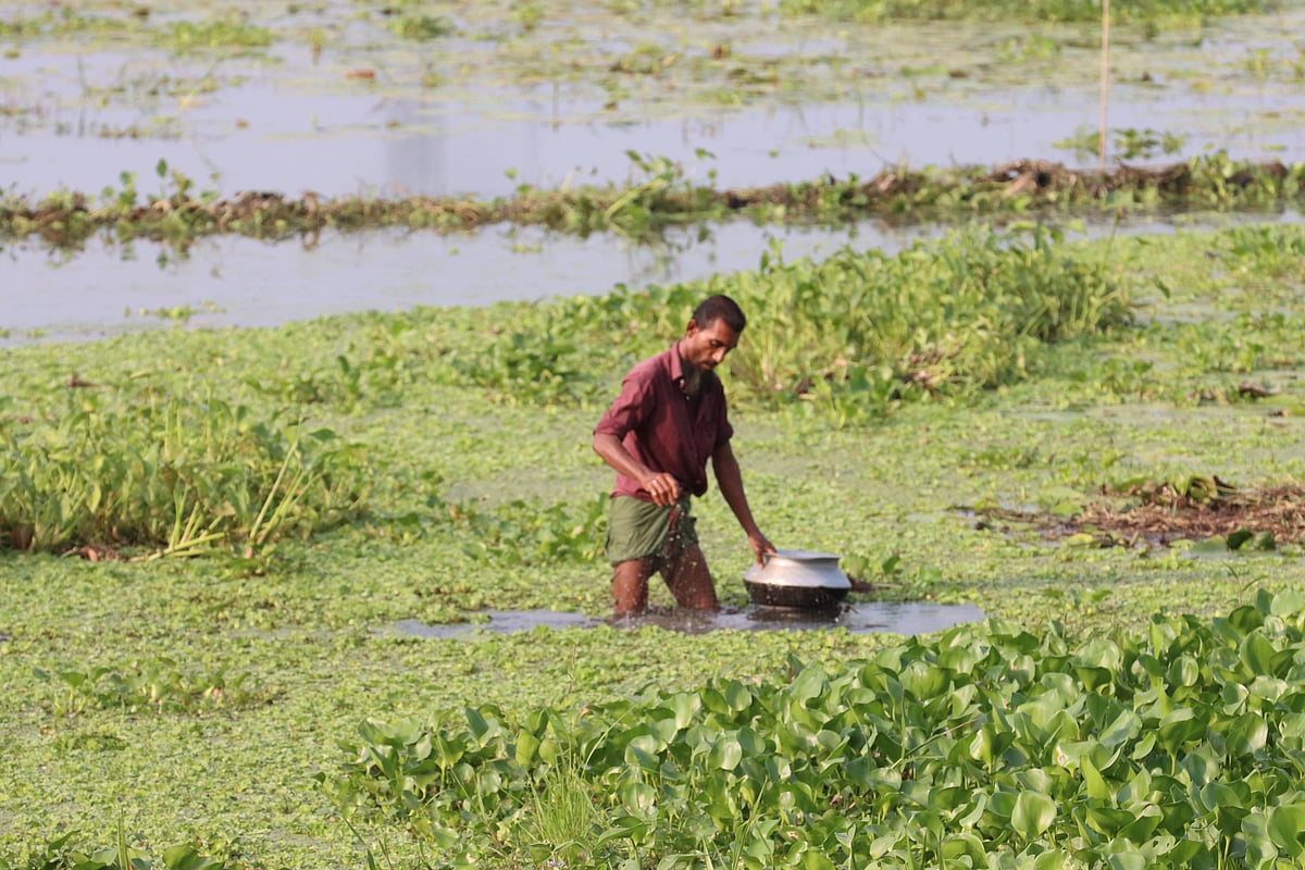 Yetuk kokrakli ayollar