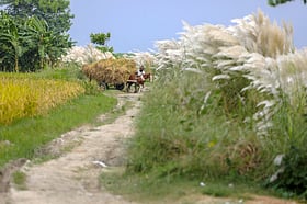 বলো তো এটা কী কাল?
