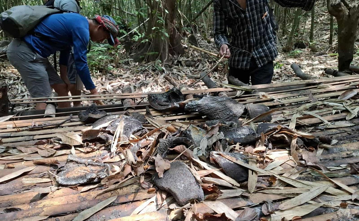 হাতির মাংস ছাড়ানোর জন্য এ মাচাটি গবেষক দল পায় সাঙ্গু–মাতামুহুরীর গহিন বনে।