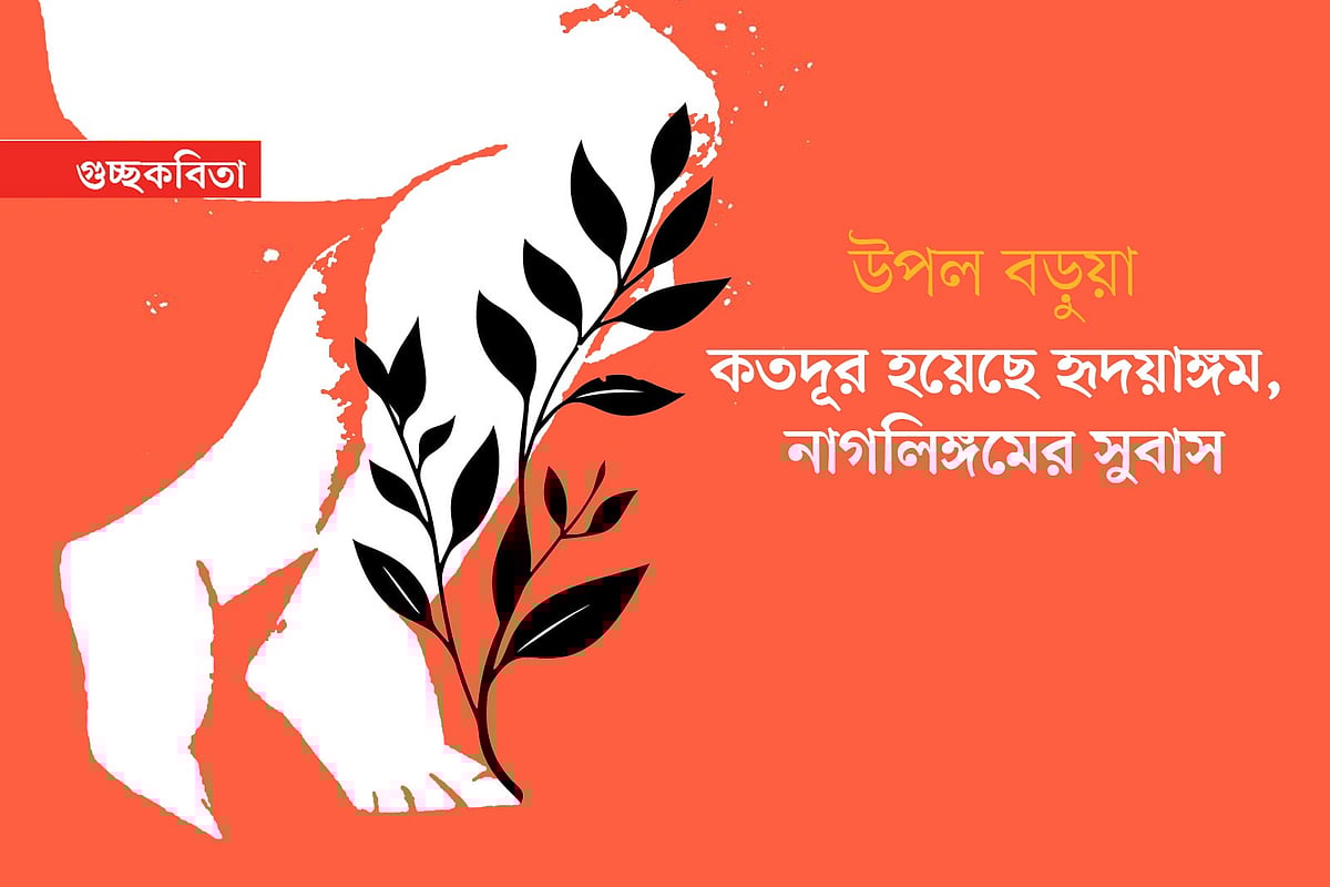 অলংকরণ: এস এম রাকিবুর রহমান