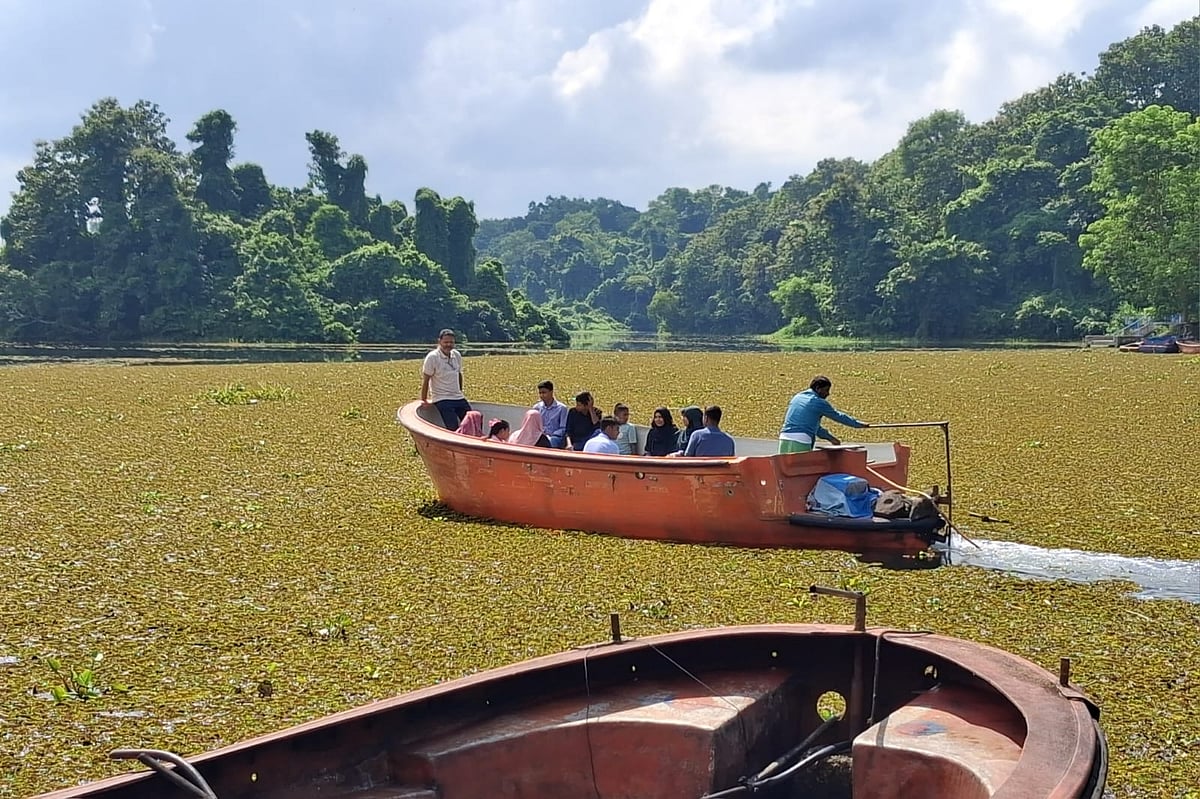 টোপাপানায় ভরে গেছে মহামায়া হ্রদ। হ্রদের এমন হতশ্রী দশা দেখে হতাশ পর্যটকেরা। সম্প্রতি তোলা