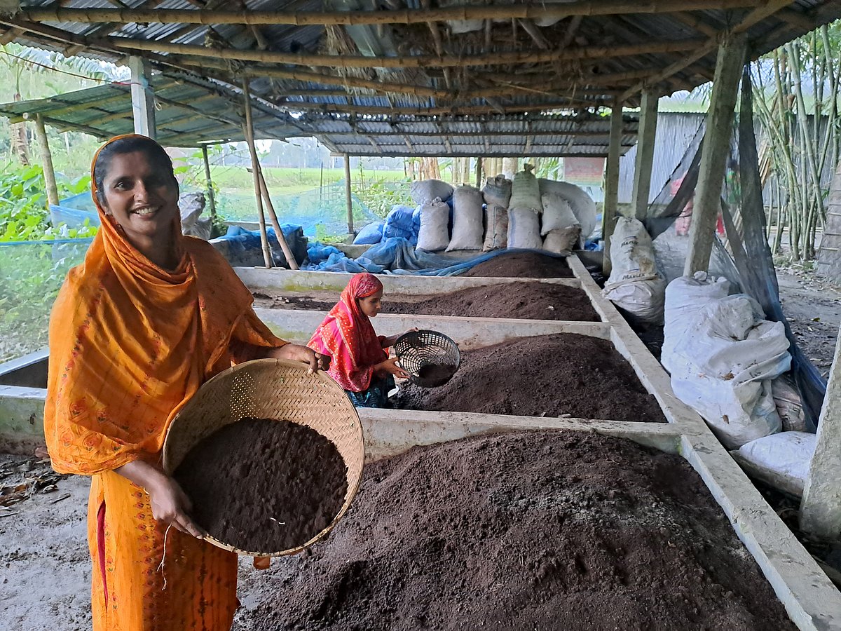 বাড়ির উঠোনে চৌবাচ্চায় কাজ করছেন মমতাজ আক্তার। চালুনি দিয়ে জৈব সার বের করছিলেন। সম্প্রতি গাইবান্ধার গোবিন্দগঞ্জ উপজেলার কালীতলা দুর্গাপুর গ্রামে