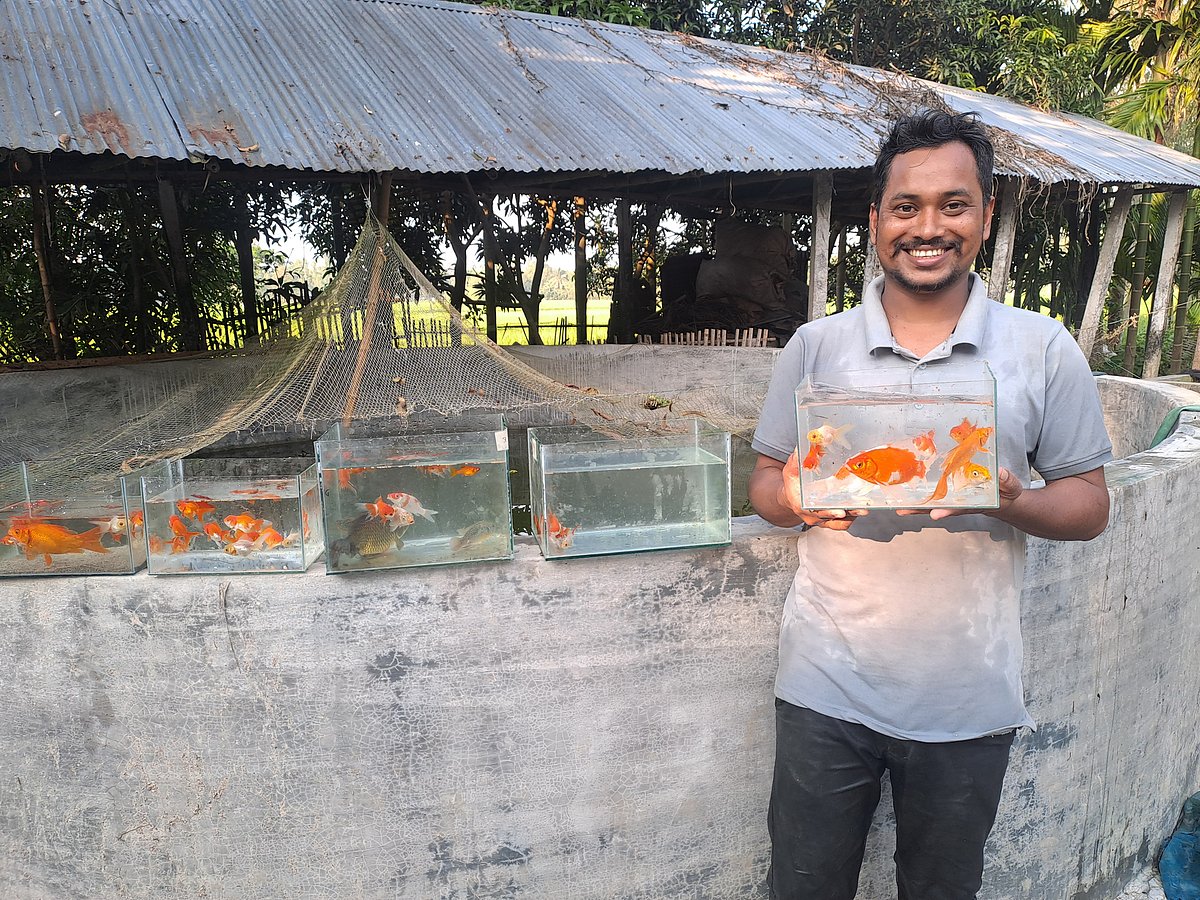 রঙিন মাছের চাষ করে সাফল্য পেয়েছেন গাইবান্ধার সুন্দরগঞ্জের সরকারটারি গ্রামের সাগর সরকার