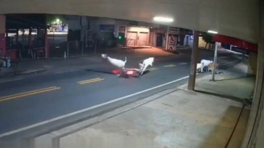 ব্রাজিলিয়ান ফুটবলার আন্তোনি ইলানোর সড়ক দুর্ঘটনার সেই মুহূর্ত