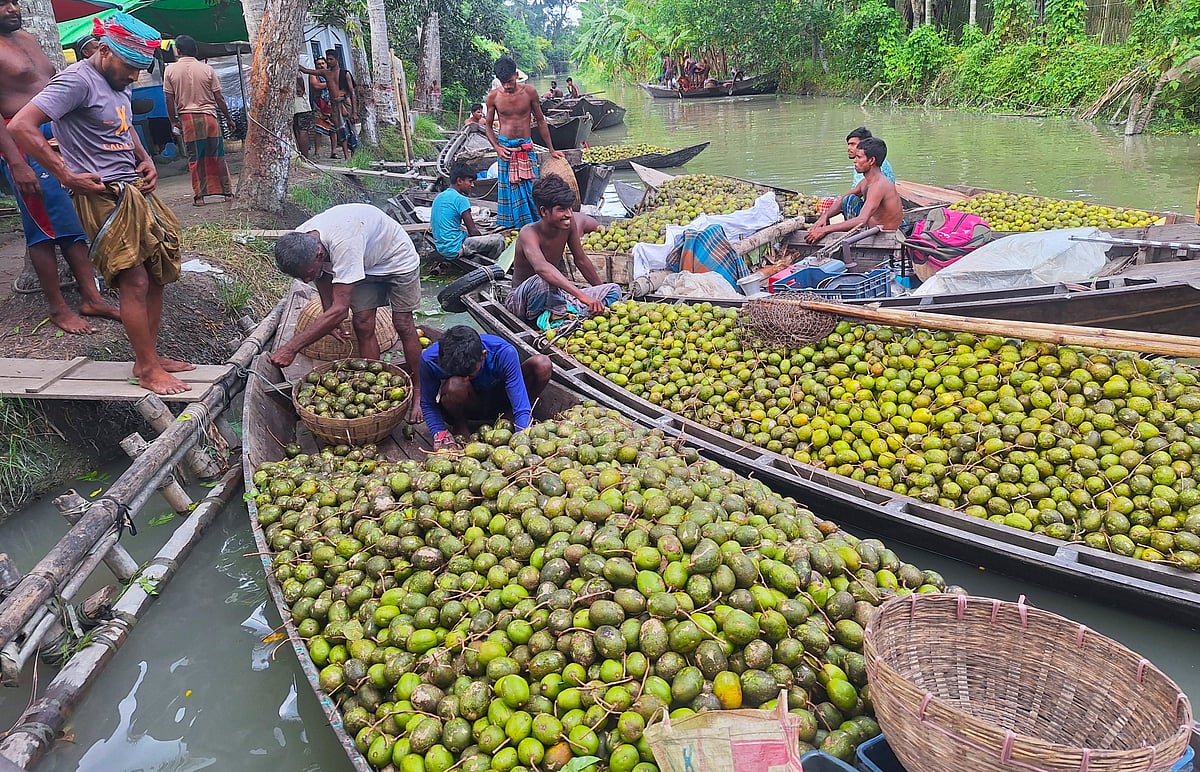 নৌকায় ভেসে ভেসে চলছে আমড়া বেচা-কেনা। সম্প্রতি ঝালকাঠি সদরের আদমকাঠি এলাকায়