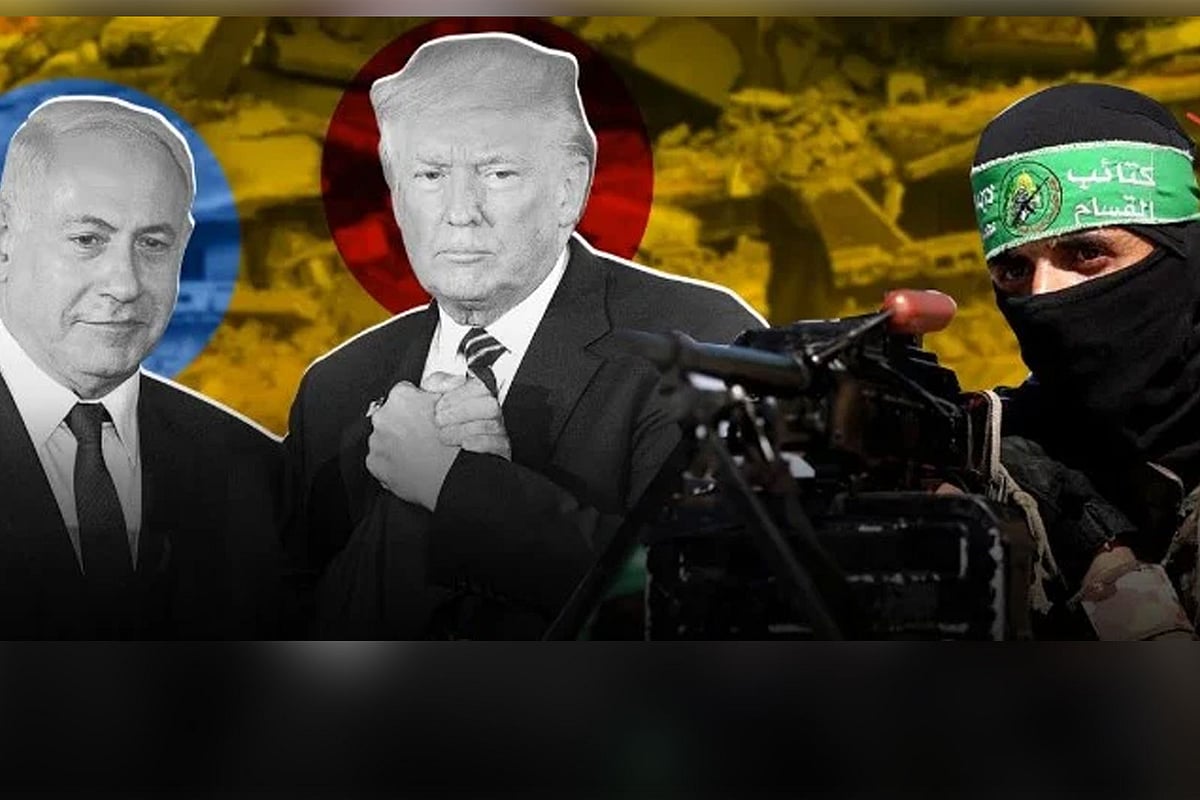 কোলাজ: প্রথম আলো