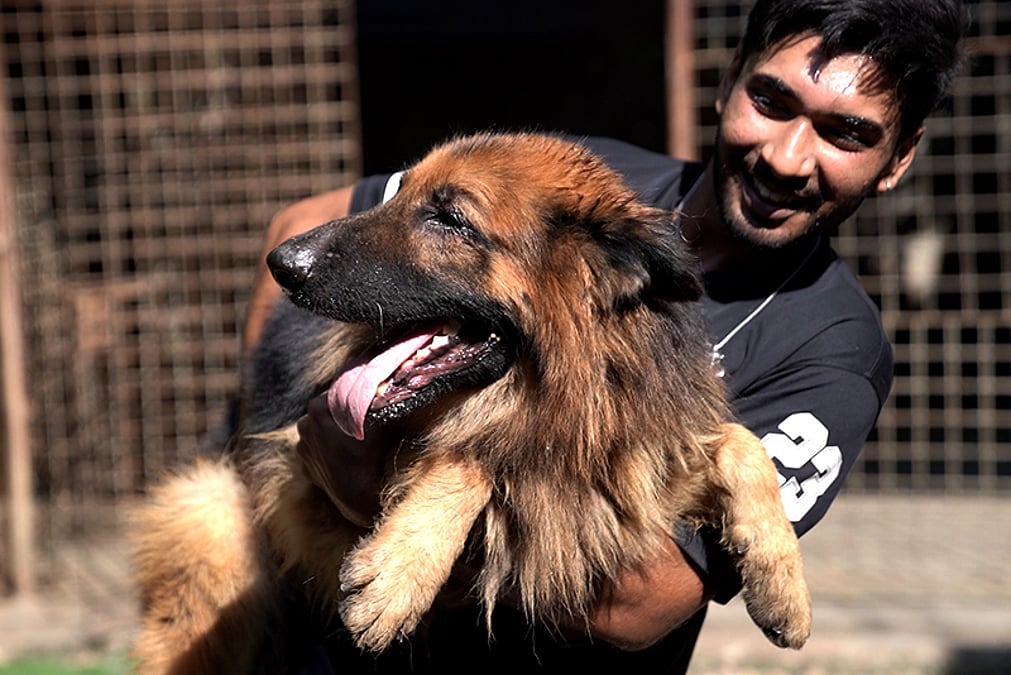 Qizlar adyol bilan onanizm qilishadi Yetuk ayollar gangbang hd