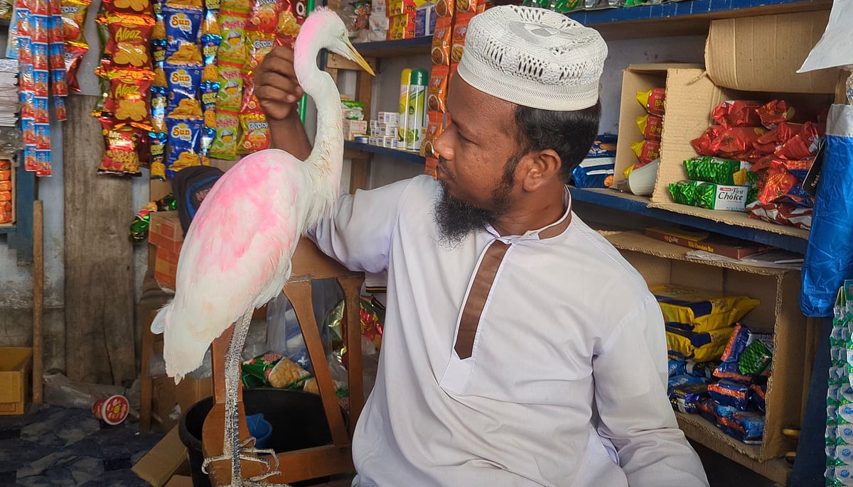 বকটি বাইরে উড়ে গেলেও কিছুক্ষণ পরই আবার ফিরে আসে হেমায়েতের কাছে। সম্প্রতি তোলা