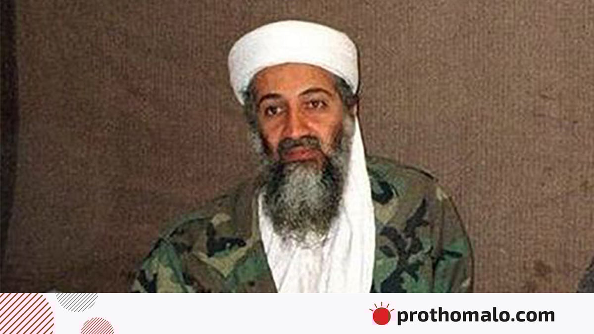 Yalangoch mashhurlar Ilonlar bilan jinsiy aloqani tomosha qiling