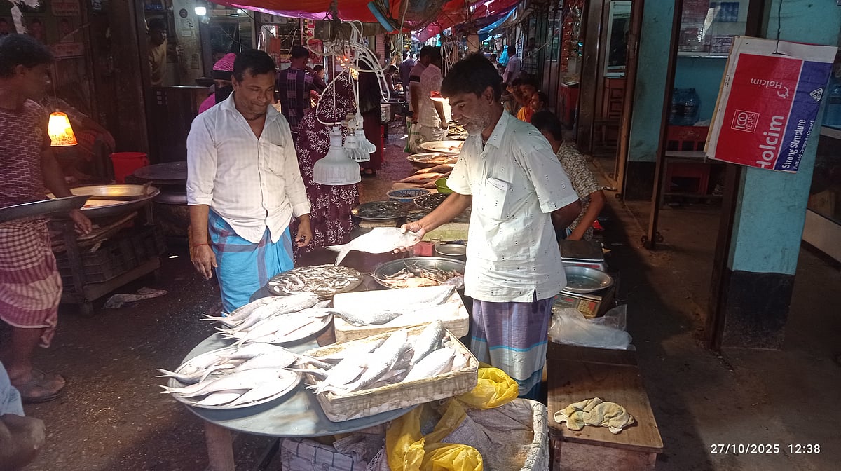 ক্রেতাকে ইলিশ মাছ দেখাচ্ছেন এক ক্রেতা। আজ সোমবার সকালে চাঁদপুরের মতলব দক্ষিণ উপজেলা সদর মাছ বাজারে