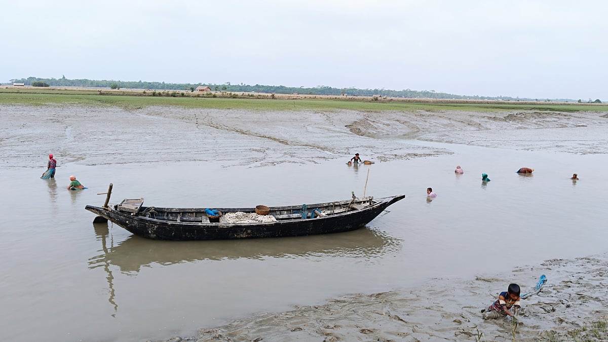 ভাটার টানে পানি নামতেই স্থানীয় নারী-পুরুষ কপোতাক্ষ নদ থেকে শামুক তুলতে শুরু করেন। খুলনার কয়রার মসজিদকুড় গ্রামে