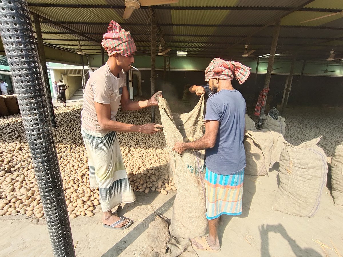 হিমাগারের গেটে টাঙানো ব্যানারে লেখা আলুর কেজি ২২ টাকা