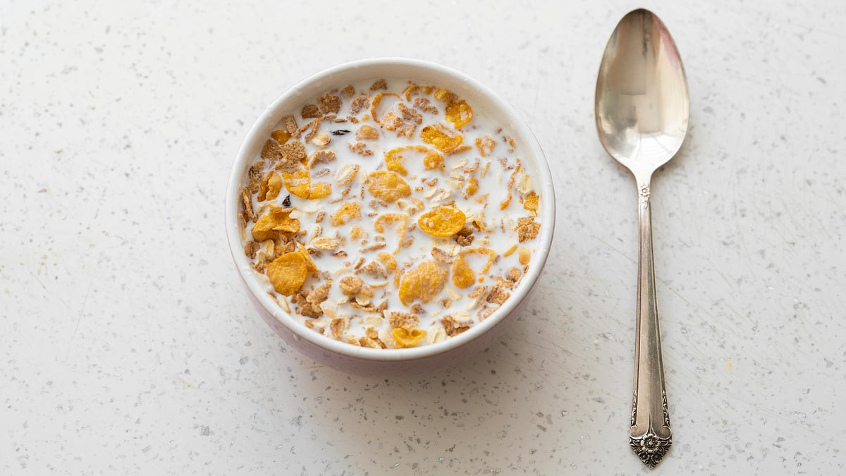 কর্ন ফ্লেক্স দুধে ভিজিয়ে খান অনেকে